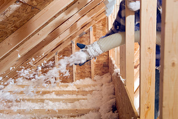 Best Garage Insulation  in Lake Isabella, MI